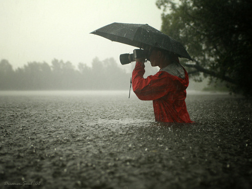 как фотографировать в дождь